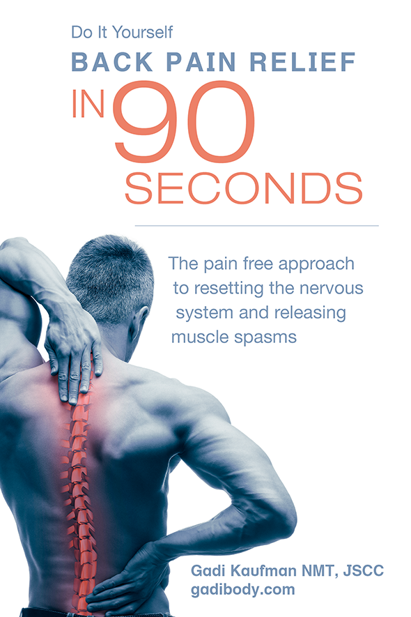 Book: DIY Back Pain Relief in 90 Seconds